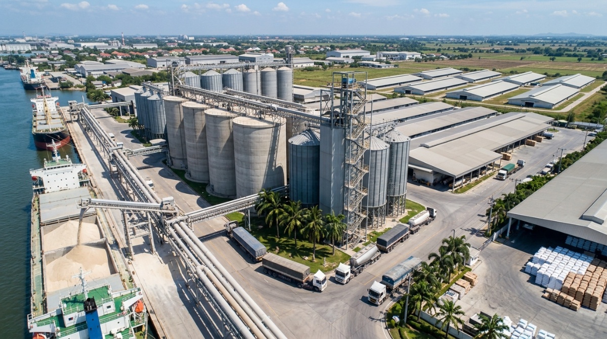 Bentonite Clay for Thailand Animal Feed Industry: Buyer's Guide